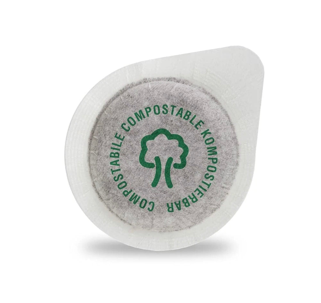 Caffè Borbone Espresso Paper Pods, Blue Blend, Balanced and Full-Bodied, Medium Roast ESE Pods, Authentic Italian Espresso - 150 Count